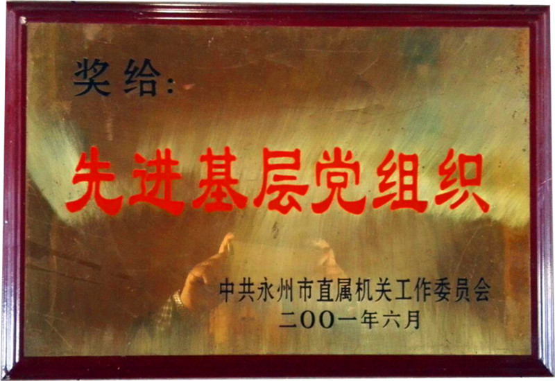 2001年先進(jìn)基層黨組織 (2)