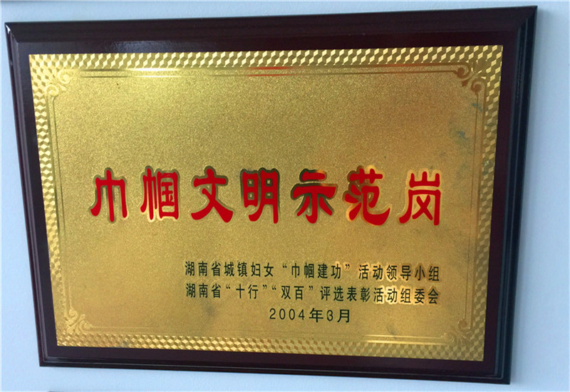 2004巾幗文明