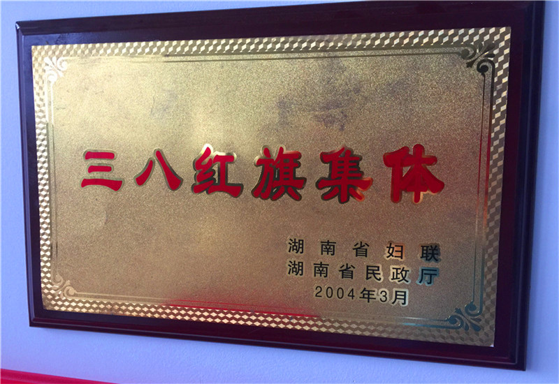 2004三八紅旗集體